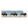 Bison Bumper Sticker