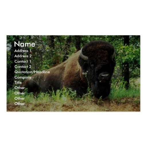 Bison Business Card Template (front side)