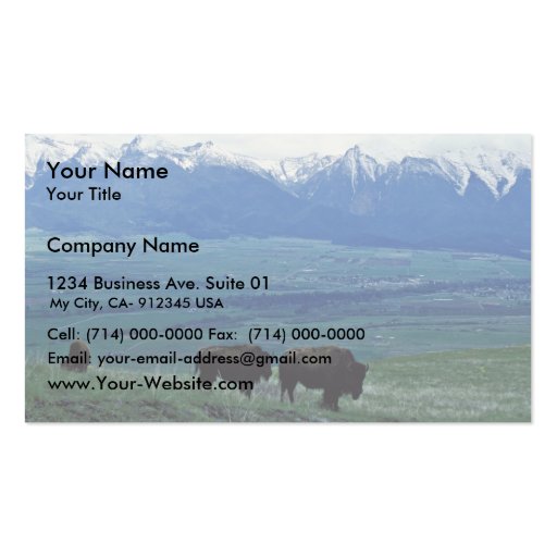 Bison Business Card Templates (front side)
