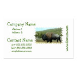 Bison Business Cards