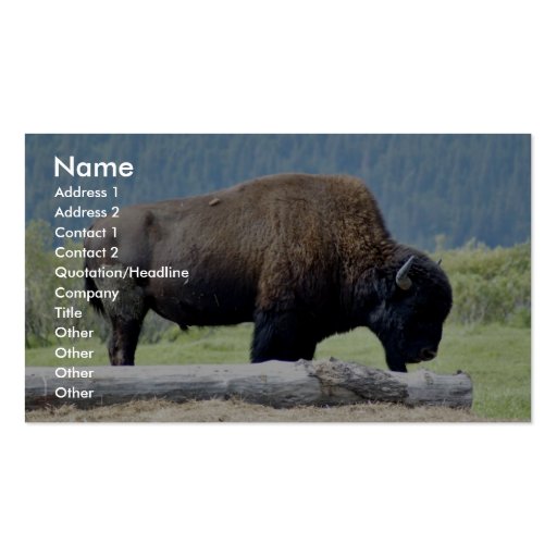 Bison Business Cards