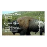 Bison Business Cards