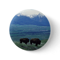 Bison Button