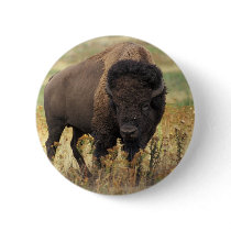 Bison Pin