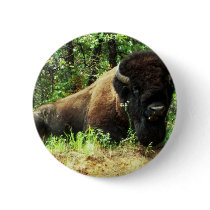 Bison Pinback Buttons