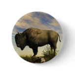 Bison Pin