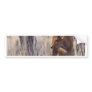 bison calf bumper stickers