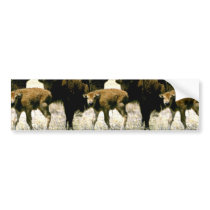 Bison Calf Bumper Sticker