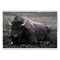 Bison cards by made_in_atlantis Bison cards