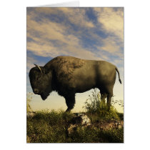 Bison Greeting Cards