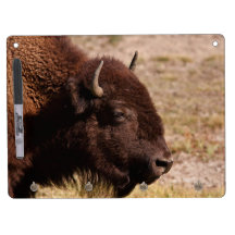 Bison Dry-Erase Whiteboard