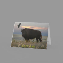 Bison/Eagle//KANSAS!! greeting card cards