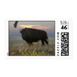 bison, buffalo, eagle, kansas, wksimages.com, wks,