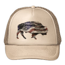 Bison Flag Hat