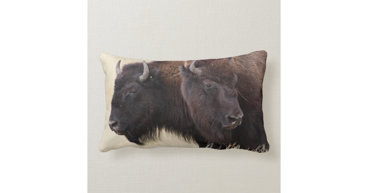 bison pillow pet