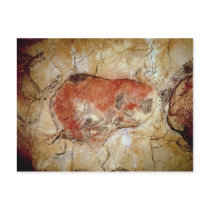 Bison from the Altamira Caves Postcards