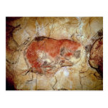 Bison from the Altamira Caves Postcards