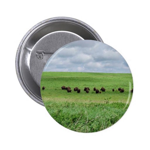 Bison grazing beneath cloudy sky buttons