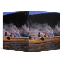 Bison grazing in the Upper Geyser Basin near Vinyl Binders