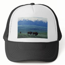 Bison Mesh Hats