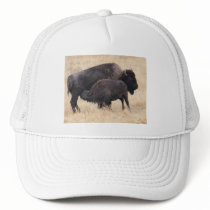 bison trucker hats