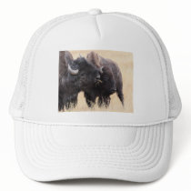 bison hats by WorldDesign bison hats
