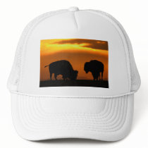 bison trucker hat