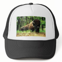 Bison Hat