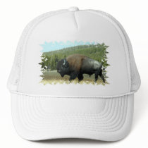 Bison  Hat