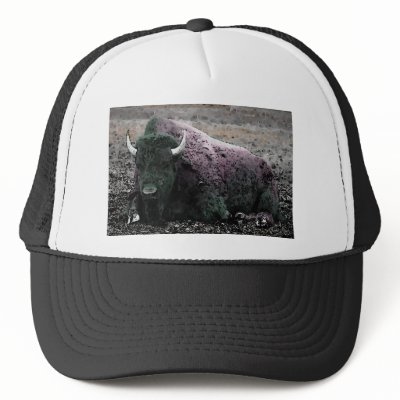 Bison Trucker Hats by made_in_atlantis