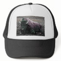 Bison hats