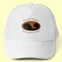 bison hats