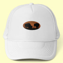 bison hats