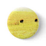 Bison in golden field buttons