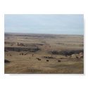 "Bison In The Smoky Hill Badlands" posters