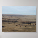 "Bison In The Smoky Hill Badlands" posters