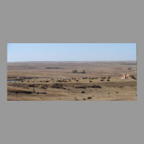 Bison in the Smoky Hill River Badlands posters by wksimages Bison in the Smoky Hill River Badlands posters
