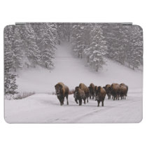 Bison in Winter iPad Air Cover at Zazzle