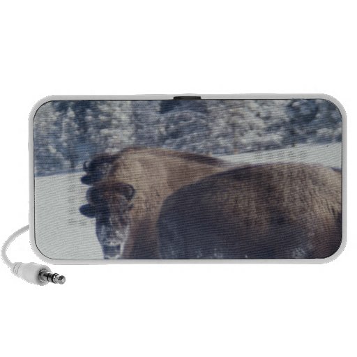 Bison iPod Speakers