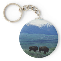 Bison Key Chains