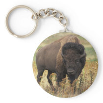 Bison Key Chains