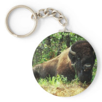 Bison Keychains