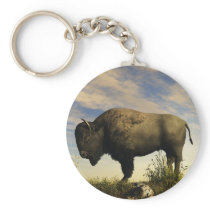 Bison Keychain