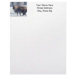Bison Letterhead Template