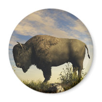 Bison Refrigerator Magnet