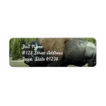 Bison  Mailing Labels