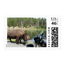 Bison meets Harley Postage