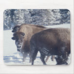 Bison Mouse Pad