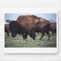 Bison Mouse Pads