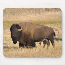 Bison mousepad